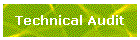 Technical Audit